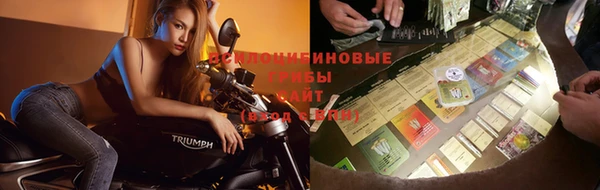 spice Семикаракорск