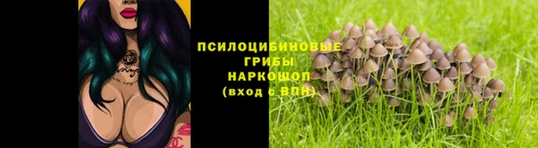 стафф Володарск