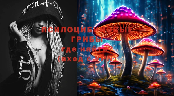 стафф Володарск
